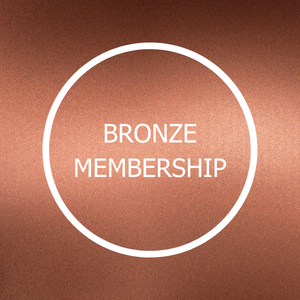 Digital Learning Hub Bronze Membership